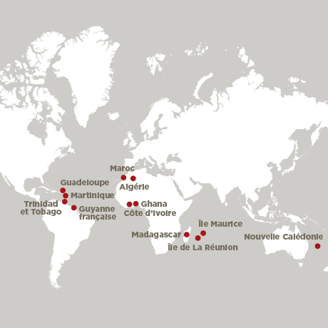 carte distribution automobile